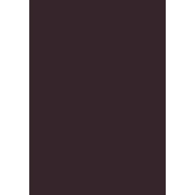 Fotokarton 70x100cm 300g schwarz 204716990