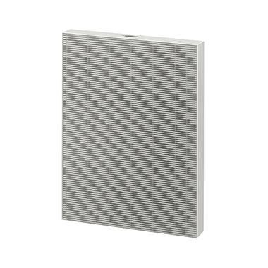 Ersatzfilter AeraMax True Hepa f. DX55 passend für 5073666