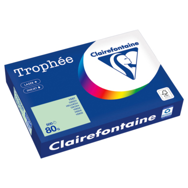 Kopierpapier Clairefontaine 1975C A4 80g hellgrün 500 Blatt