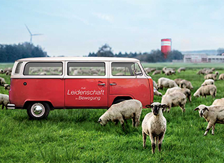 VW Bus steht auf einer Wiese voller Schafe