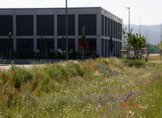 Bürogebäude von Streit Service & Solution in Gengenbach