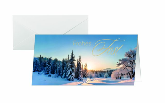Weihnachtskarte Sigel DS638 Winter  Wonderland 25 Karten + 25 Umschläge