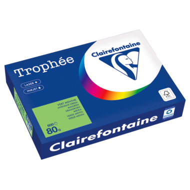 Kopierpapier Clairefontaine 1875C A4 80g maigrün 500 Blatt