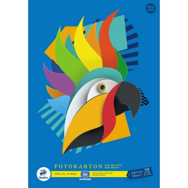 Fotokarton Green A3 300g 10 Blatt 