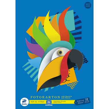 Fotokarton Green A4 300g 10 Blatt 