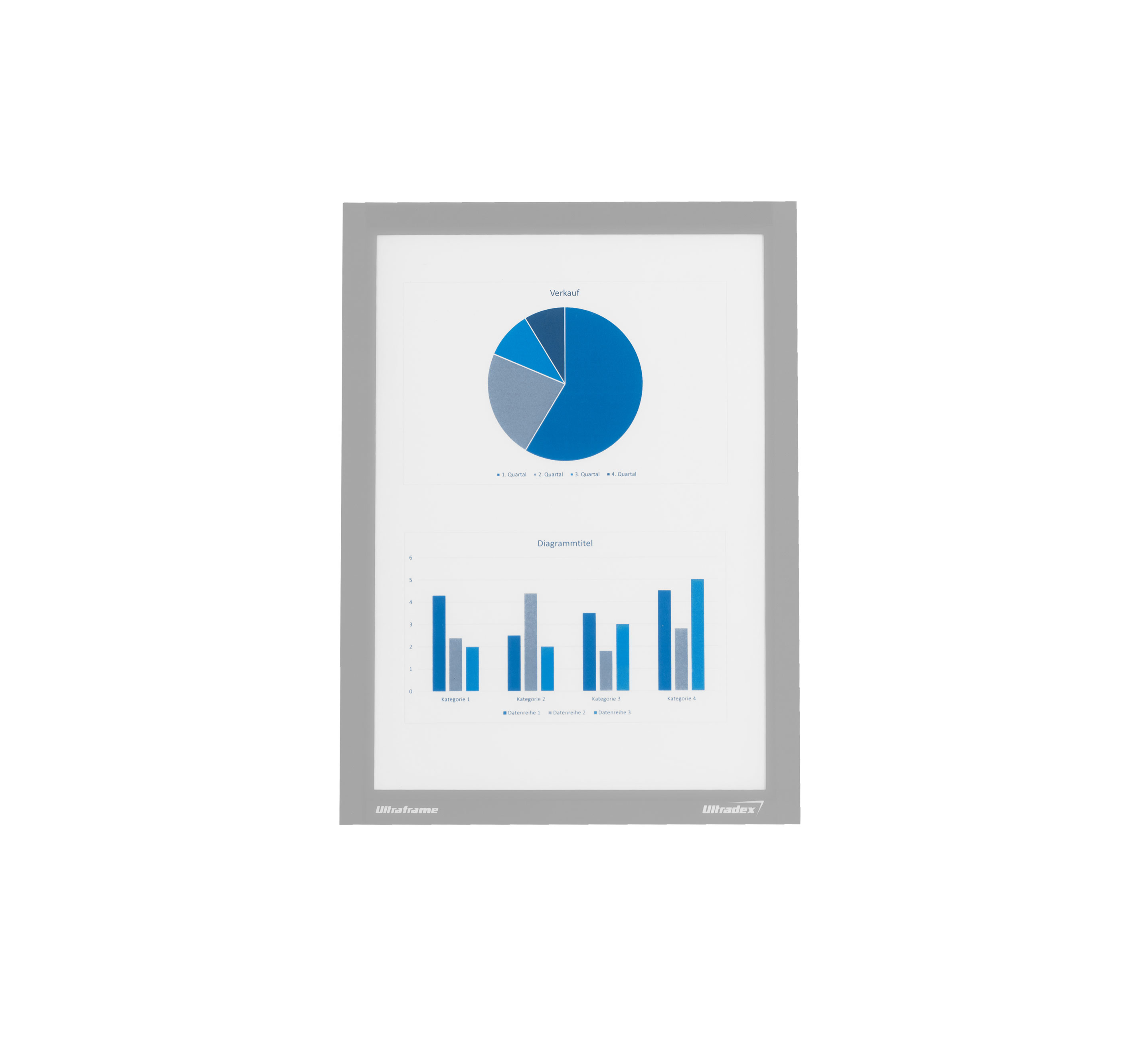 Inforahmen A4 Ultradex ULT891077 silber Ultraframe